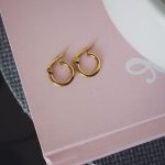 Mini golden hoops earring
