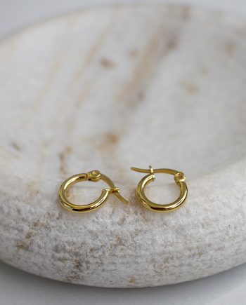 Mini golden hoops earring