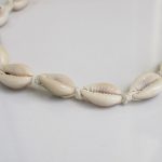 Natural cowrie shell choker