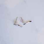 Silver wave earrings