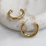 Stainless steel gold tone hoop earrings