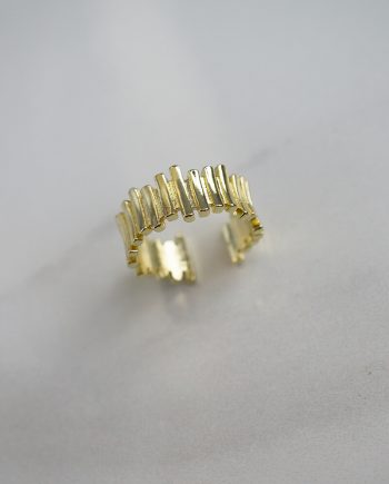Eco brass golden pieces ring